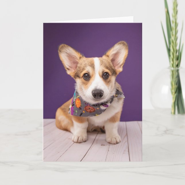 Carte Animaux de bébés cutest | Halloween Corgi (Devant)