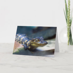 Carte Animaux de bébés cutest   Jeune alligator
