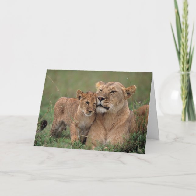 Carte Animaux de bébés cutest | Lion Cub & Mother (Devant)