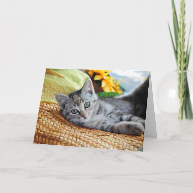 Carte Animaux de bébés cutest | Lounge Kitten (Devant)