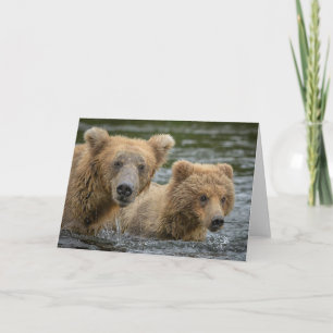 Carte Animaux de bébés cutest Mama Bear & Her Cubs