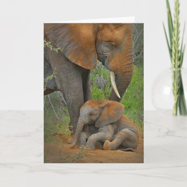 Carte Animaux de bébés cutest | Mama Elephant & Baby (Devant)
