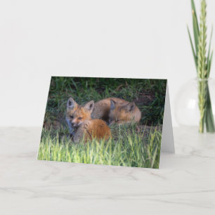 Carte Animaux de bébés cutest Paire de frères et soeur