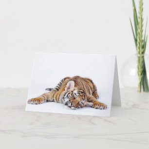 Carte Animaux de bébés cutest   Sleepy Baby Tiger Cub