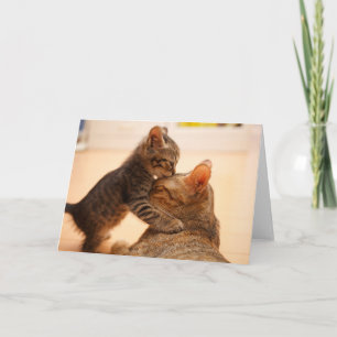 Carte Animaux de bébés cutest Tabby Kitten Kiss