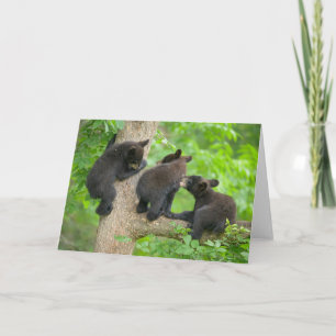 Carte Animaux de bébés cutest   Trois jeunes petits ours