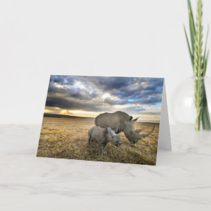 Carte Animaux de bébés cutest   White Rhino & Calf
