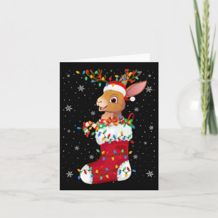Carte Animaux de lièvre de Santa Hat en Chaussettes Lumi