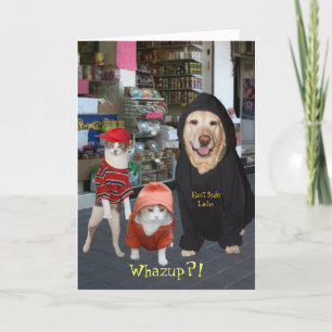 Carte Animaux familiers/chats/anniversaire drôles
