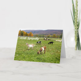 Carte Animaux Pasture de chèvres Sympathie photo Vermont