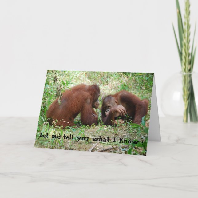 Carte Animaux racontant des secrets anniversaire #2 (Devant)