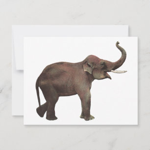Carte Animaux sauvages vintages, Eléphants asiatiques de