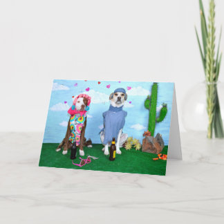 Carte Aniversary card, humorous, dogs in clothes
