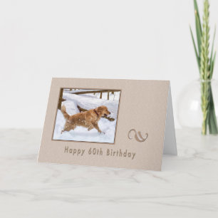 Carte Anniversaire, 60e, Golden Retriever Dog in Snow