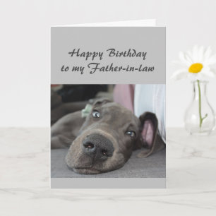 Carte Anniversaire à mon beau-père Fun Dog Relax Humour