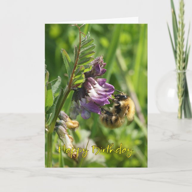 Carte Anniversaire - Abeille Sur Un Vetch Sauvage (Devant)