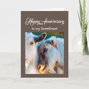 Carte Anniversaire Amoureux de la vieille chèvre vous ai