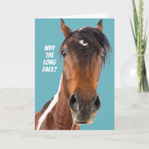 Cartes Drole Cheval D Anniversaire Zazzle Ch