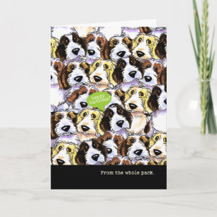 Carte Anniversaire amusant du groupe PBGV Chiens
