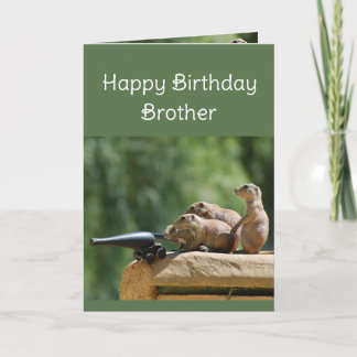 Carte Anniversaire Amusement Non Bougies Non Anniversair