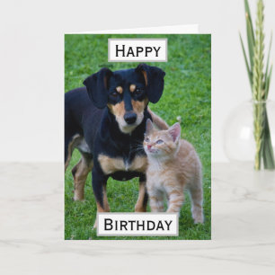 Carte Anniversaire Animaux de compagnie Photo du parent