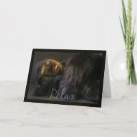 Carte Anniversaire Avec Ours Dormant - Relax