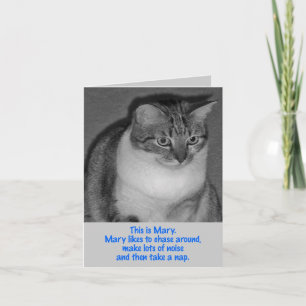 Carte Anniversaire - Be Mary