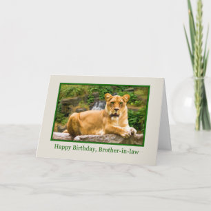 Carte Anniversaire, beau-frère, Lion sur un rocher