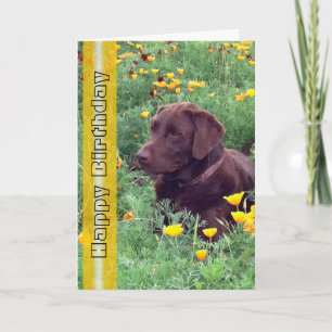 Carte Anniversaire beau Labrador Retriever Chien photo