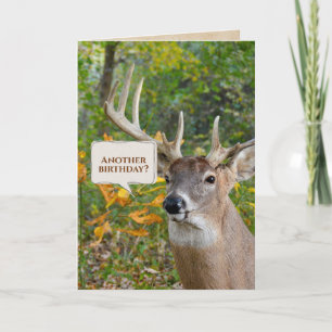 Carte Anniversaire Buck In Woods