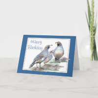Anniversaire, caille de Californie, oiseau,