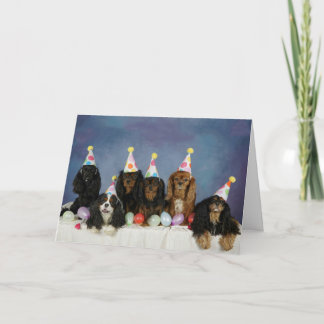 Carte Anniversaire Cav-tastic