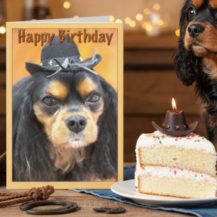Carte Anniversaire Cavalier King Charles Spaniel Cow-boy