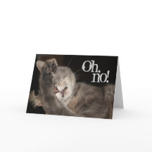 Anniversaire, Chat