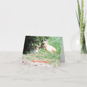 Carte Anniversaire, chats et gâteaux