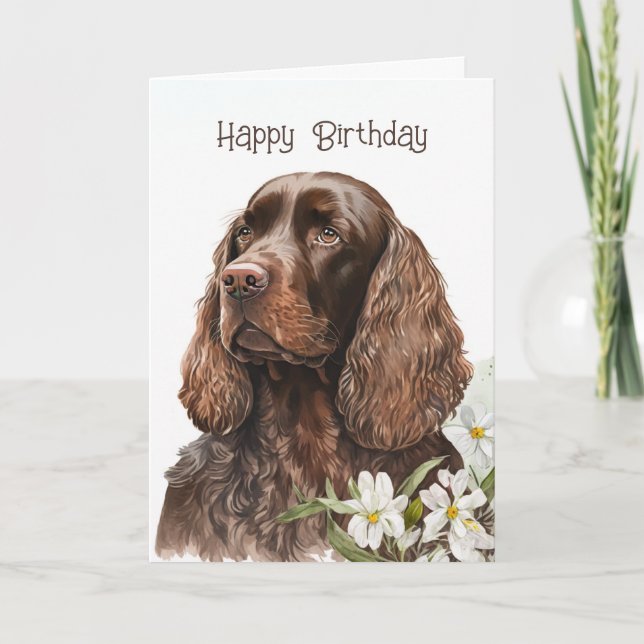 Carte Anniversaire Chocolate Cocker Spaniel (Devant)