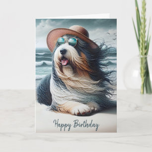 Carte Anniversaire Collie sur la plage