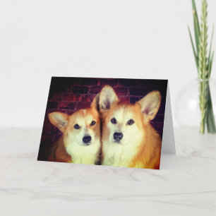 Carte Anniversaire Corgi