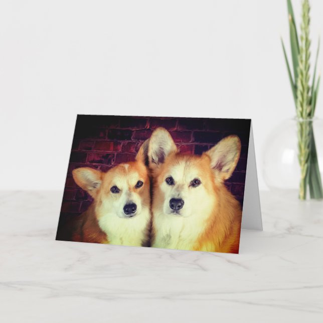 Carte Anniversaire Corgi (Devant)