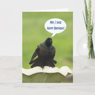 Carte Anniversaire criard d'oiseau noir joyeux pour un