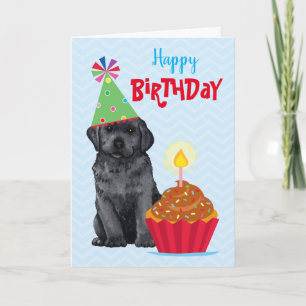 Carte Anniversaire Cupcake Black Lab