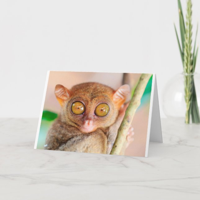 Carte Anniversaire Cute Slow Loris (Devant)