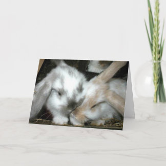 Carte Anniversaire d'amour de lapin