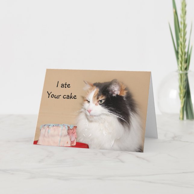 Carte Anniversaire de chat de calicot (Devant)