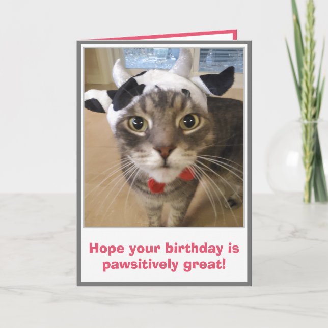 Carte Anniversaire de chat drôle (Devant)