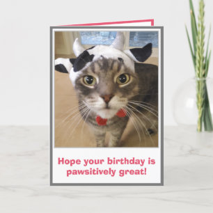 Carte Anniversaire de chat drôle