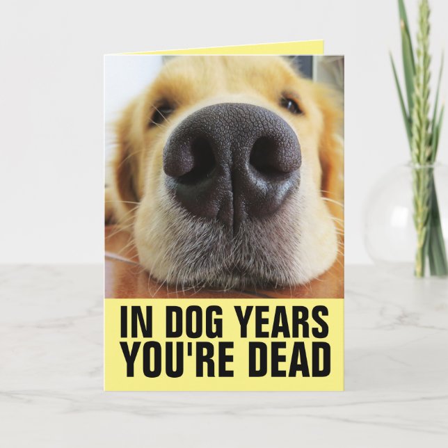 CARTE ANNIVERSAIRE DE CHIEN AMUSANT, DANS LES ANNÉES DE  (Devant)