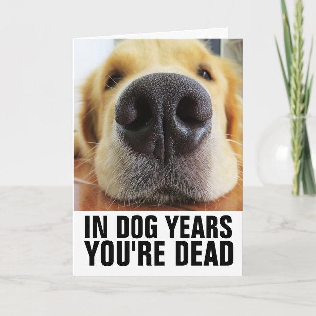 CARTE ANNIVERSAIRE DE CHIEN AMUSANT, DANS LES ANNÉES DE  (Devant)