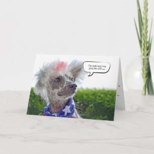 Carte Anniversaire de chien sans cheveux de Chine