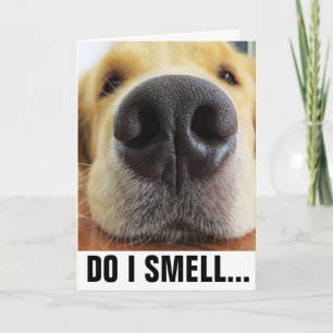 CARTE ANNIVERSAIRE DE CHIENS AMUSANTS, GÂTEAU D'ANNIVERS